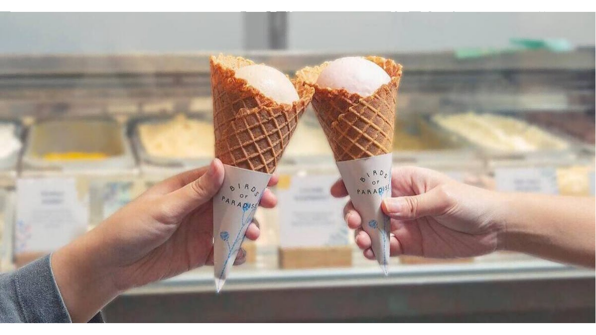 Ice Cream Cone Covers 1 Ice Cream Cone Covers 1